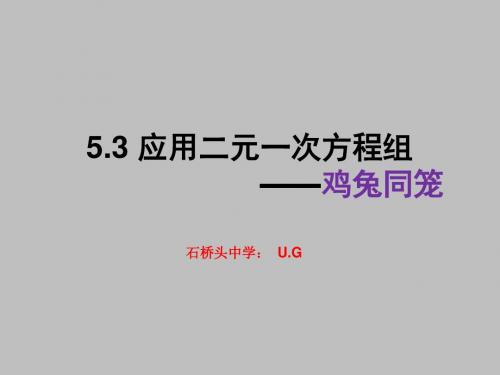 5.3 《应用二元一次方程组-鸡兔同笼》