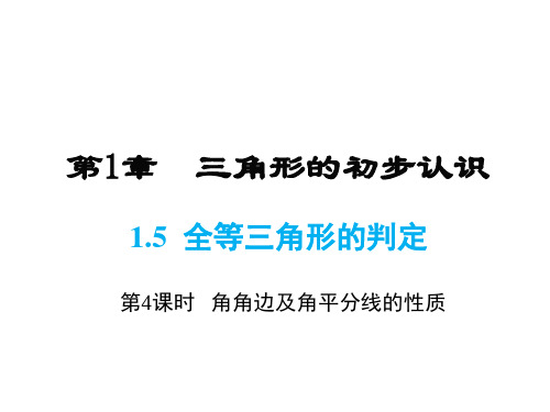 浙教版八年级上册数学同步课件-第1章-1.5 第4课时   角角边及角平分线的性质