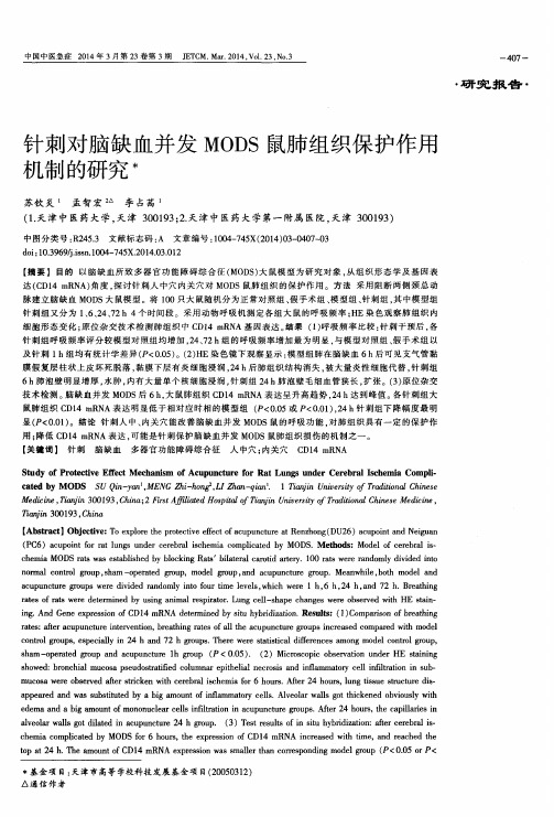 针刺对脑缺血并发MODS鼠肺组织保护作用机制的研究