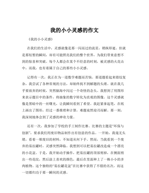 我的小小灵感的作文