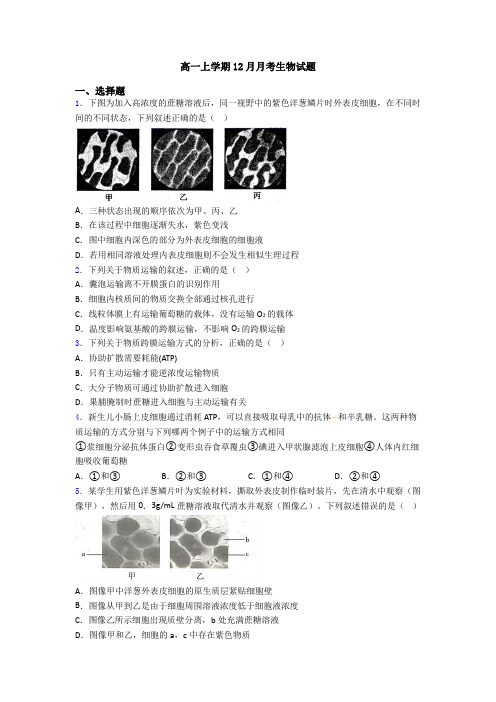 高一上学期12月月考生物试题