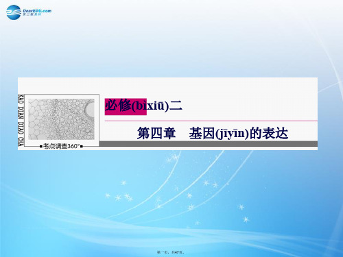 高考生物一轮复习 4.1+2 基因指导蛋白质的合成 基因对性状的控制课件 新人教版必修2