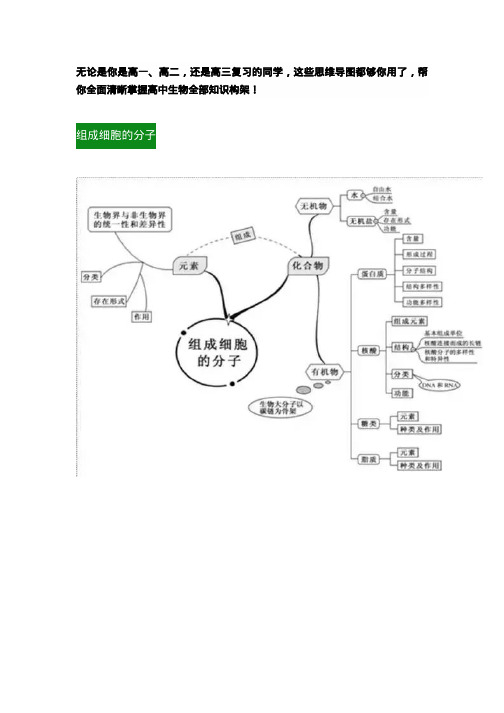 最新高中生物知识思维导图全