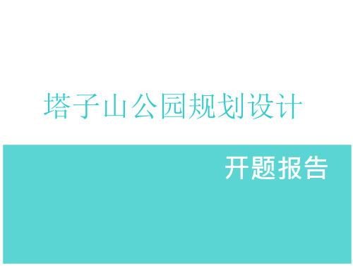 开题报告塔子山公园分析