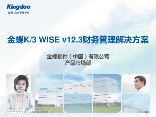 K3WISEv12.3财务管理解决方案