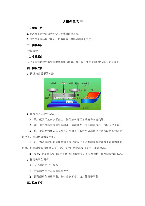 认识托盘天平