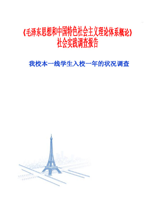 毛概调查报告 (正式)