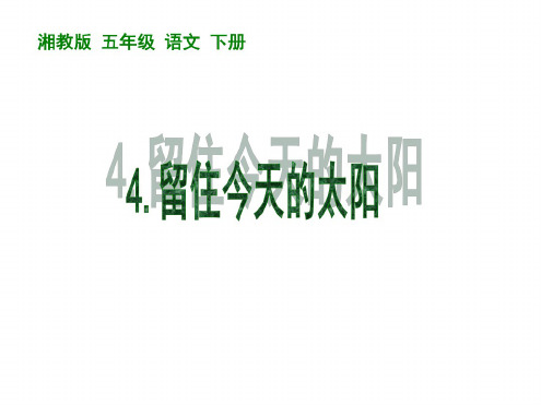 五年级语文留住今天的太阳
