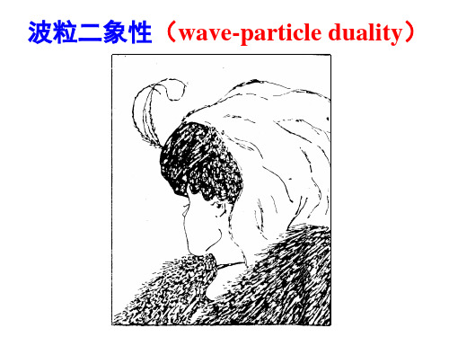 大学物理课件：波粒二象性(wave-particle duality)