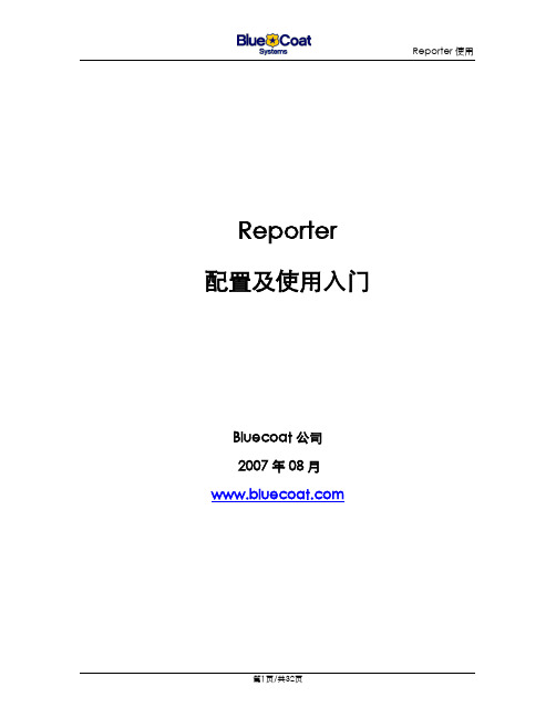 Reporter配置使用入门