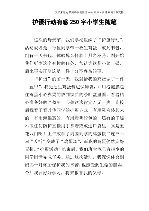 护蛋行动有感250字小学生随笔