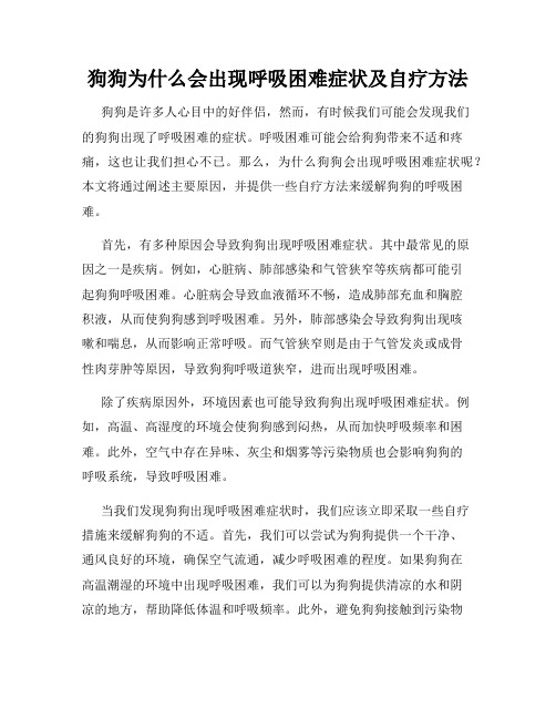 狗狗为什么会出现呼吸困难症状及自疗方法