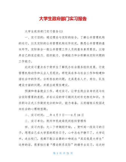 大学生政府部门实习报告