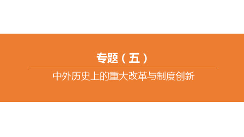 2020北京中考历史复习专题05 中外历史上的重大改革与制度创新