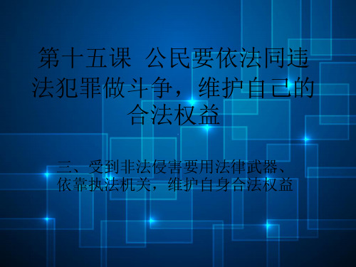 公民要依法同违法犯罪行为作斗争PPT教学课件