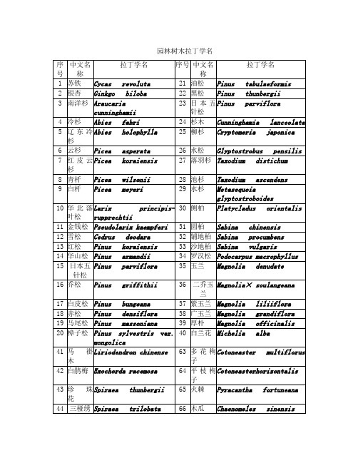 常见园林树木拉丁文