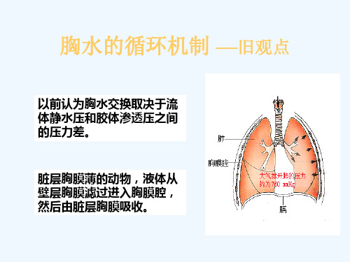 胸腔积液的诊断和鉴别诊断及结核性胸膜炎的治疗科室讲座