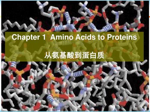 分子生物学Chapter 1