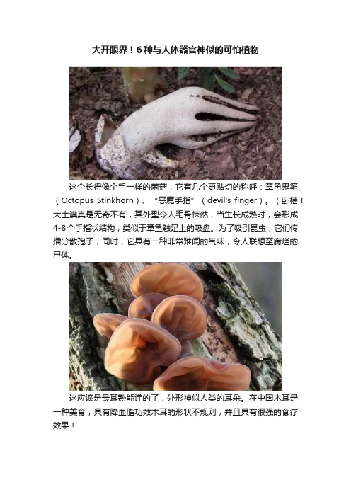 大开眼界！6种与人体器官神似的可怕植物