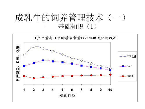 成乳牛的饲养管理技术