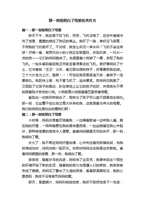 那一刻我明白了母爱优秀作文