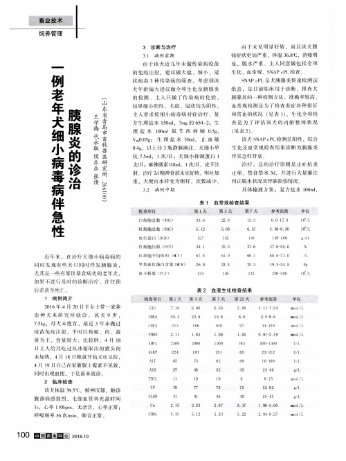 一例老年犬细小病毒病伴急性胰腺炎的诊治
