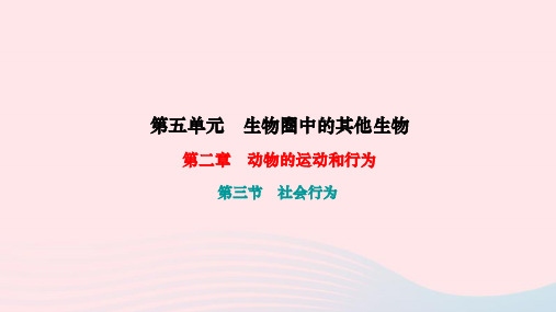 八年级生物上册第二章动物的运动和行为第三节社会行为作业课件新版新人教版