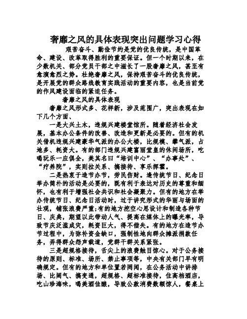 奢靡之风的具体表现突出问题学习心得