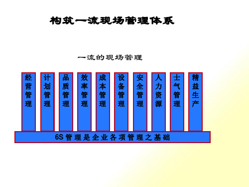 [精选]实用仓库现场管理--6S