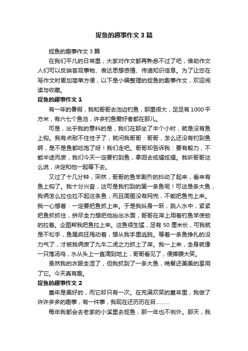 捉鱼的趣事作文3篇