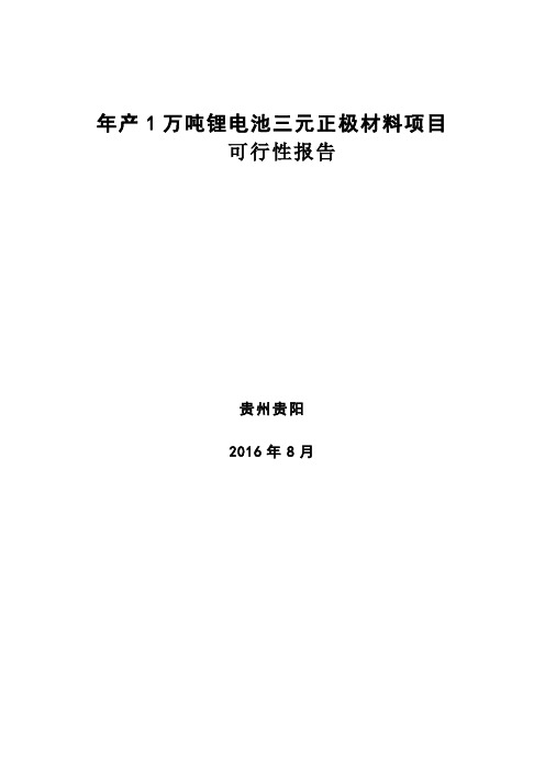 年产1万吨锂电池三元正极材料可行性报告