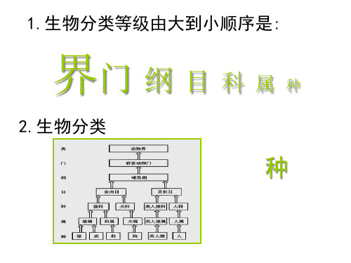 人教版八上六单元二认识生物的多样性共张精品PPT课件