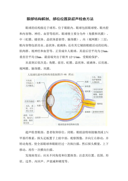 眼部结构解剖、部位位置及超声检查方法