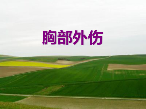影像学胸部外伤PPT课件
