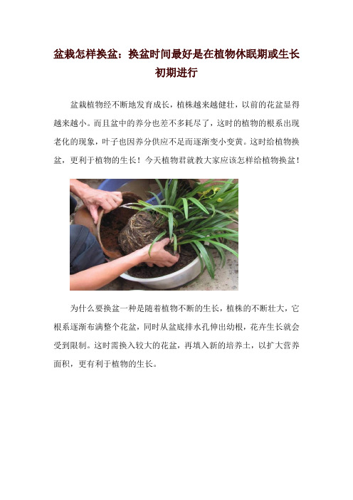 盆栽怎样换盆：换盆时间最好是在植物休眠期或生长初期进行