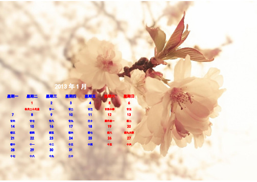 2013年精致日历(含农历)