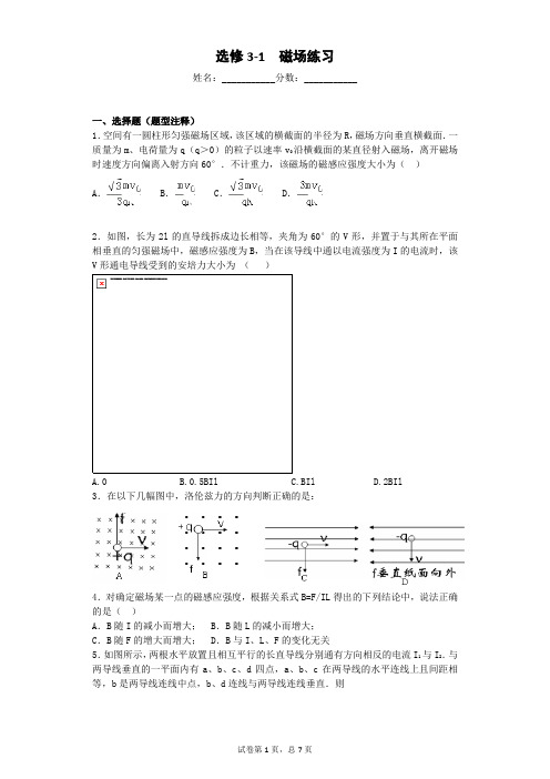 高中物理选修3-1磁场 安培力 洛伦兹力