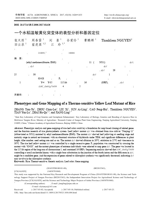 一个水稻温敏黄化突变体的表型分析和基因定位