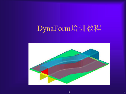 DynaForm培训教程课件