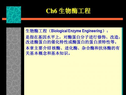 Ch6 生物酶工程