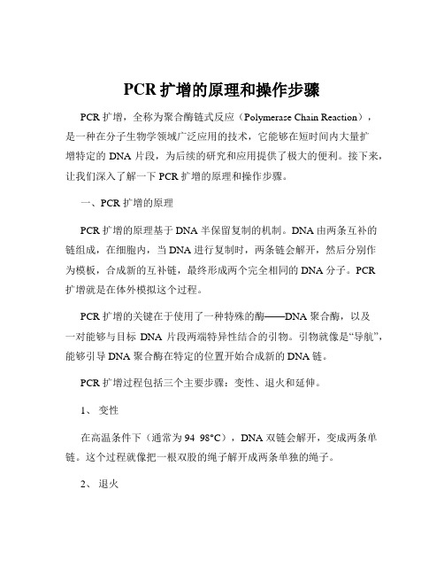 PCR扩增的原理和操作步骤