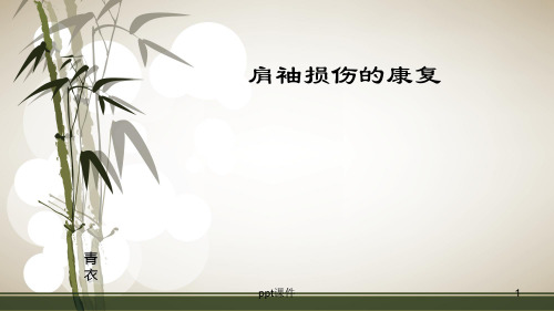 肩袖损伤术后的康复 ppt课件