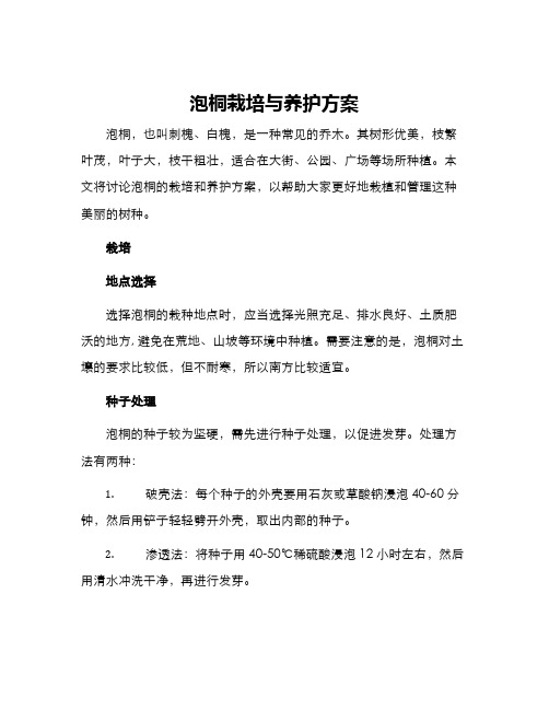 泡桐栽培与养护方案