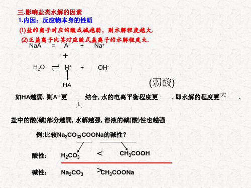 盐类水解影响因素及其应用及各种粒子关系PPT课件