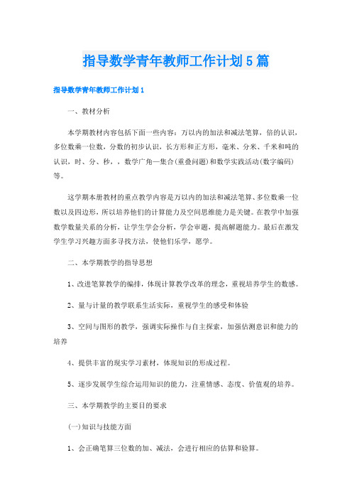 指导数学青年教师工作计划5篇