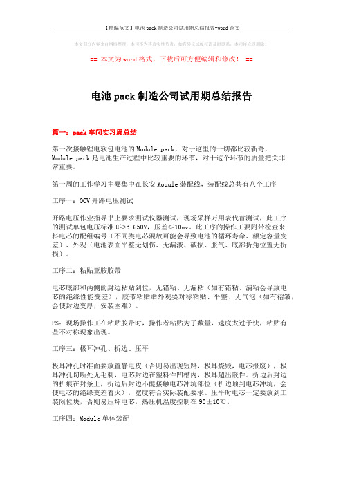 【精编范文】电池pack制造公司试用期总结报告-word范文 (12页)