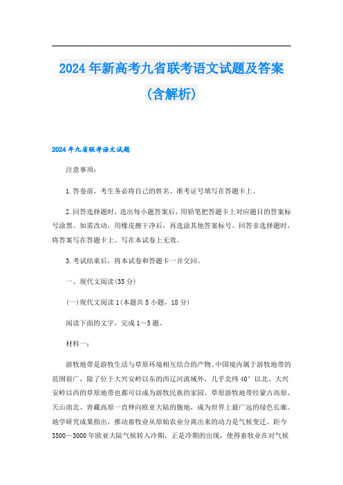 2024年新高考九省联考语文试题及答案(含解析)