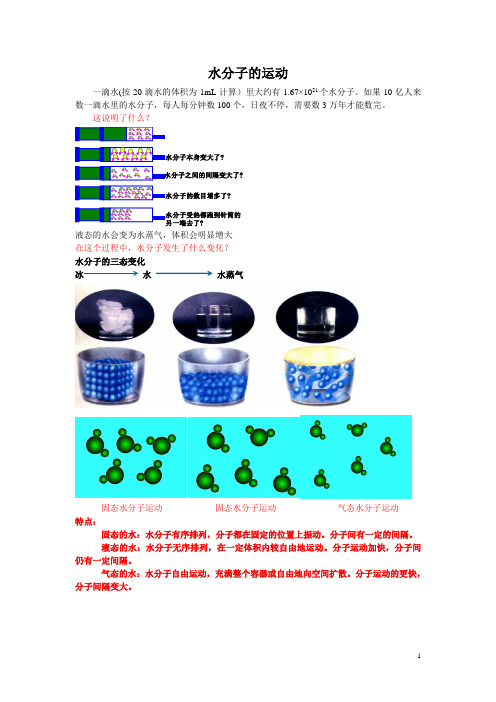 水分子的运动