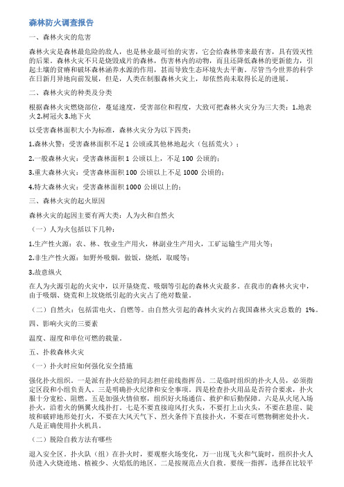 森林火灾调查报告范文