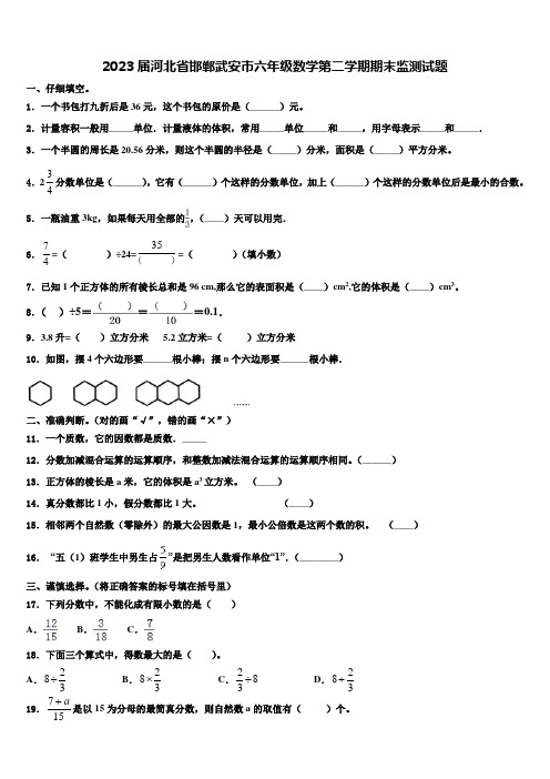 2023届河北省邯郸武安市六年级数学第二学期期末监测试题含解析